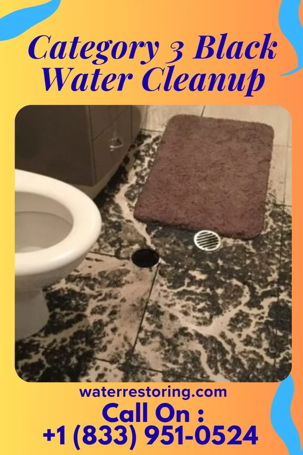 Category 3 Black Water Cleanup in Hutchinson, MN